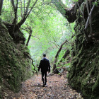 Individu sur un chemin