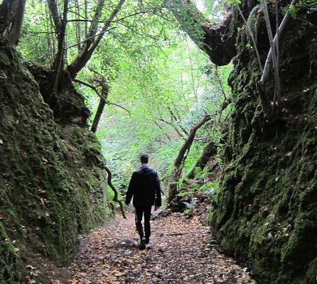 Individu sur un chemin